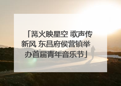篝火映星空 歌声传新风 东昌府侯营镇举办首届青年音乐节